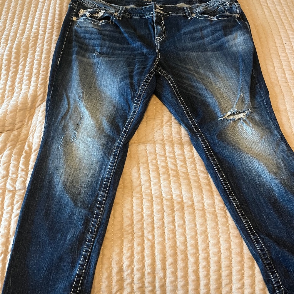 Vigoss plus size jeans